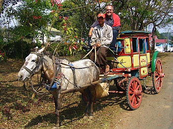 Nostalgische Pferdekutschen sorgen fr Wildwestatmosphre in Pyin Oo Lwin